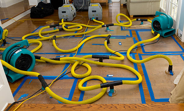 Professional Sewage Cleanup technician working in Dixie, WA